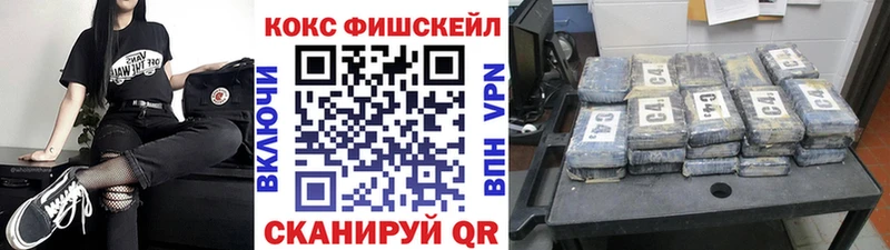 COCAIN Fish Scale  Купить  Мамоново 