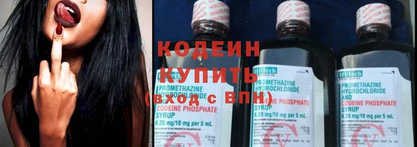 дмт Богданович