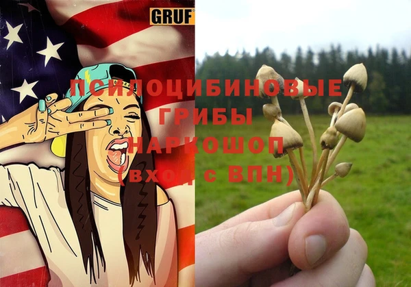 дмт Богданович