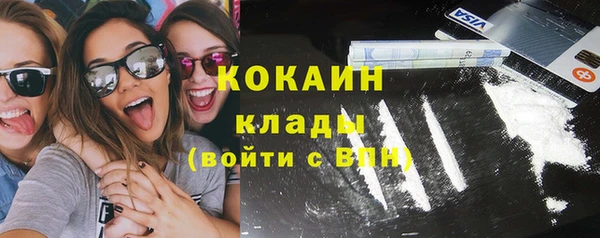 дмт Богданович