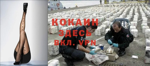 дмт Богданович
