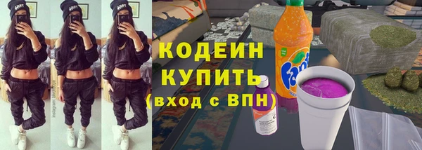дмт Богданович