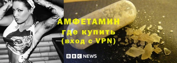 дмт Богданович