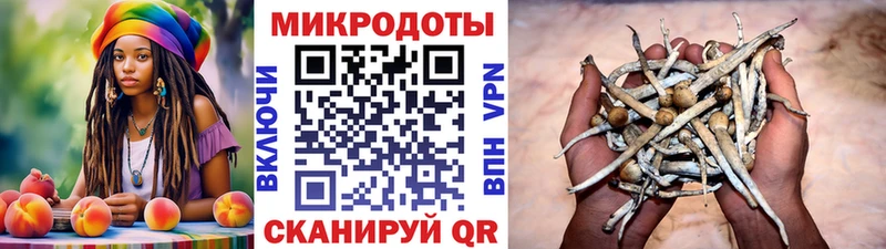 Псилоцибиновые грибы Psilocybe  Купить закладки  Мамоново 